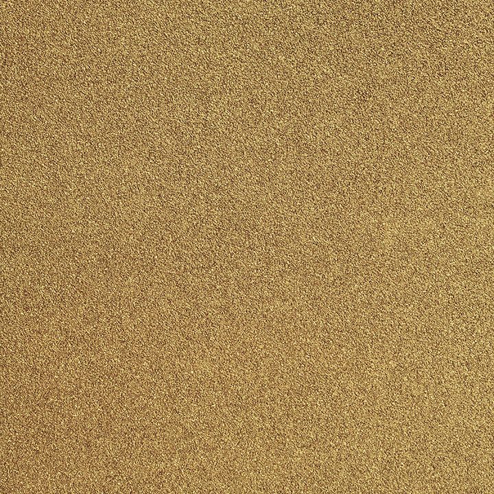 dedans-ferro-bronzite