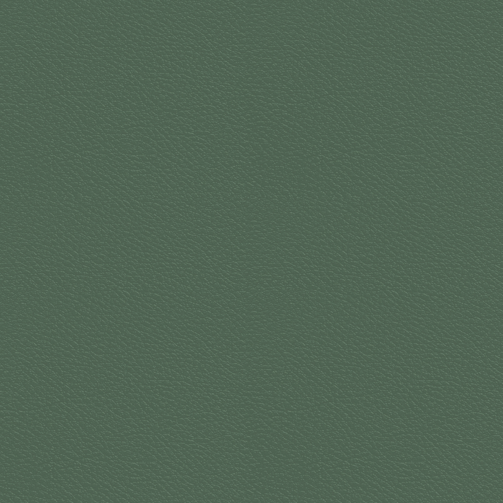 e25